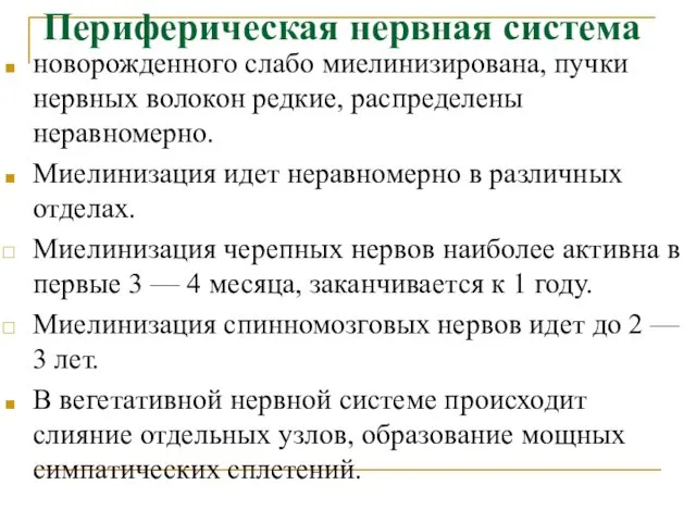 Периферическая нервная система новорожденного слабо миелинизирована, пучки нервных волокон редкие,