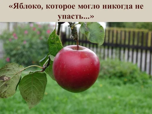 «Яблоко, которое могло никогда не упасть…»