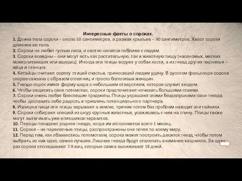 Интересные факты о сороках. 1. Длина тела сороки – около