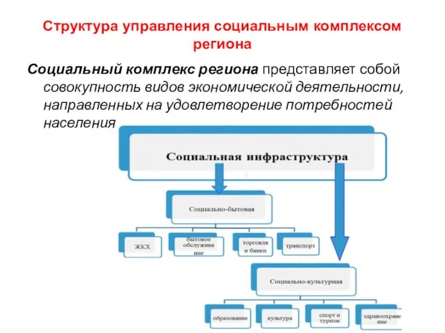 Структура управления социальным комплексом региона Социальный комплекс региона представляет собой совокупность видов экономической