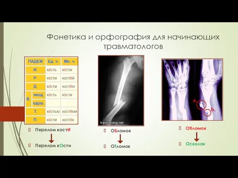 Фонетика и орфография для начинающих травматологов Перелом костИ Перелом кОсти ОБломок ОТломок Обломок Осколок