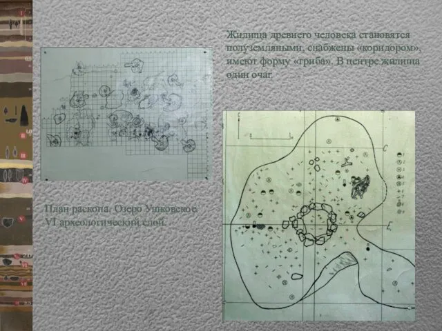 Жилища древнего человека становятся полуземляными, снабжены «коридором», имеют форму «гриба».