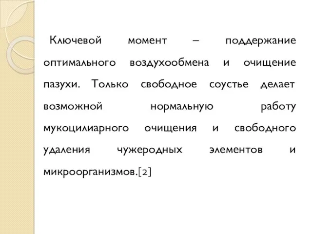 Ключевой момент – поддержание оптимального воздухообмена и очищение пазухи. Только