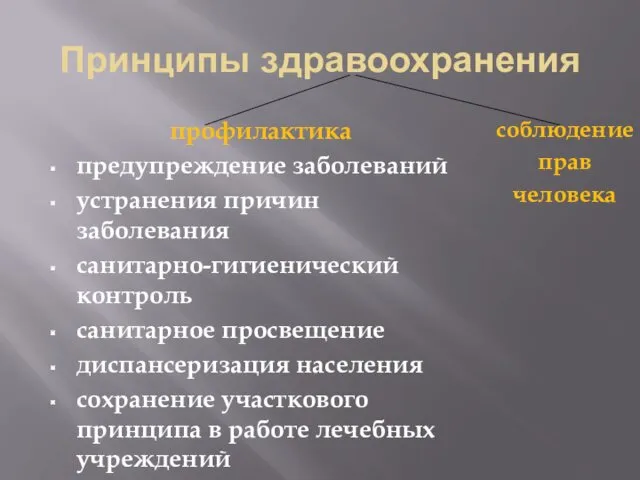 Принципы здравоохранения профилактика предупреждение заболеваний устранения причин заболевания санитарно-гигиенический контроль