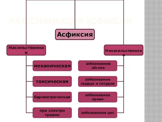 КЛАССИФИКАЦИЯ АСФИКСИИ