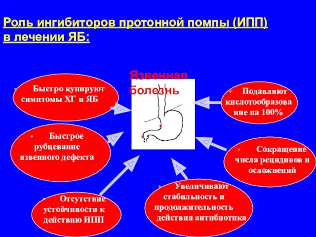 Роль ингибиторов протонной помпы (ИПП) в лечении ЯБ: ∙ Подавляют