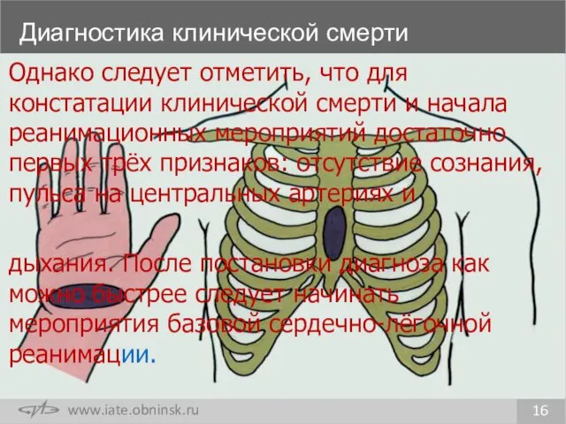 Диагностика клинической смерти 16 Однако следует отметить, что для констатации