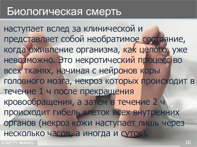 Биологическая смерть 16 наступает вслед за клинической и представляет собой