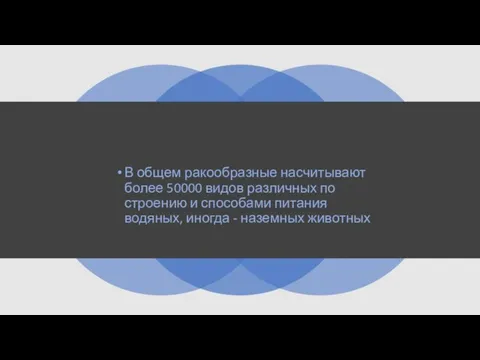 В общем ракообразные насчитывают более 50000 видов различных по строению