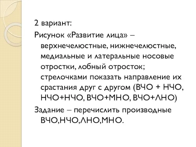 2 вариант: Рисунок «Развитие лица» – верхнечелюстные, нижнечелюстные, медиальные и