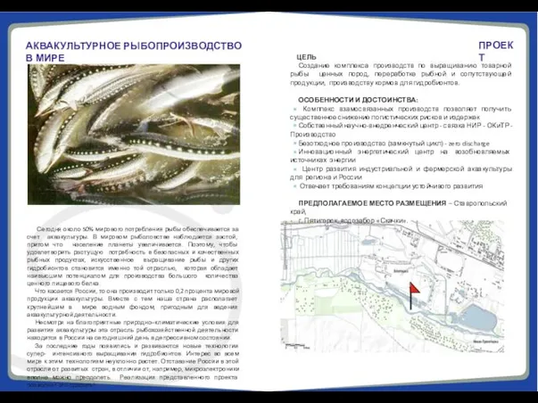 ЦЕЛЬ Создание комплекса производств по выращиванию товарной рыбы ценных пород,