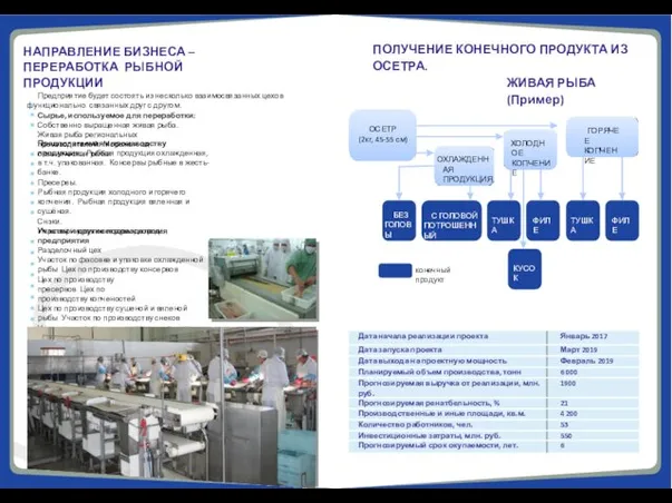 Предполагаемая к производству продукция: Рыбная продукция охлажденная, в т.ч. упакованная.