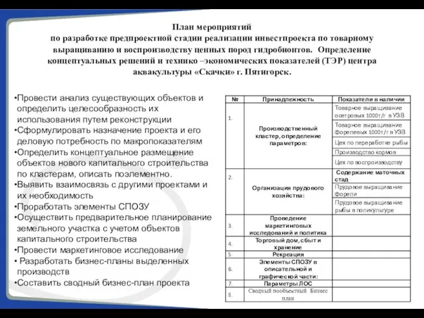 План мероприятий по разработке предпроектной стадии реализации инвестпроекта по товарному