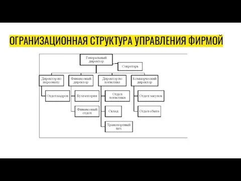 ОГРАНИЗАЦИОННАЯ СТРУКТУРА УПРАВЛЕНИЯ ФИРМОЙ