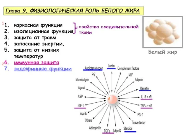 каркасная функция изоляционная функция защита от травм запасание энергии, защита