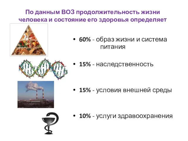 По данным ВОЗ продолжительность жизни человека и состояние его здоровья определяет 60% -