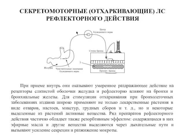 СЕКРЕТОМОТОРНЫЕ (ОТХАРКИВАЮЩИЕ) ЛС РЕФЛЕКТОРНОГО ДЕЙСТВИЯ При приеме внутрь они оказывают