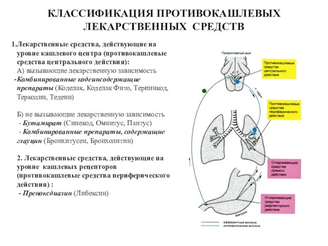 Лекарственные средства, действующие на уровне кашлевого центра (противокашлевые средства центрального