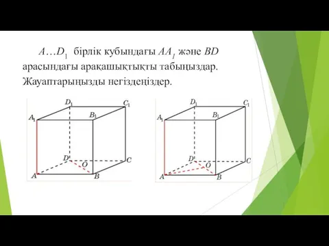 A…D1 бірлік кубындағы AA1 және BD арасындағы арақашықтықты табыңыздар. Жауаптарыңызды негіздеңіздер.