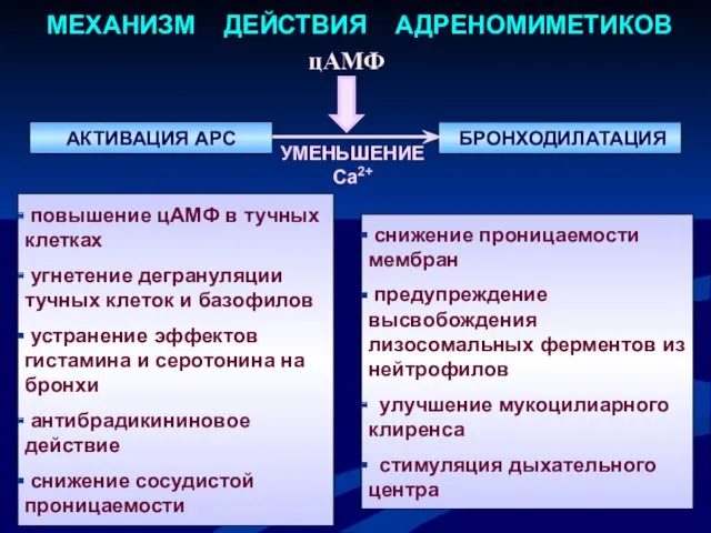 МЕХАНИЗМ ДЕЙСТВИЯ АДРЕНОМИМЕТИКОВ повышение цАМФ в тучных клетках угнетение дегрануляции