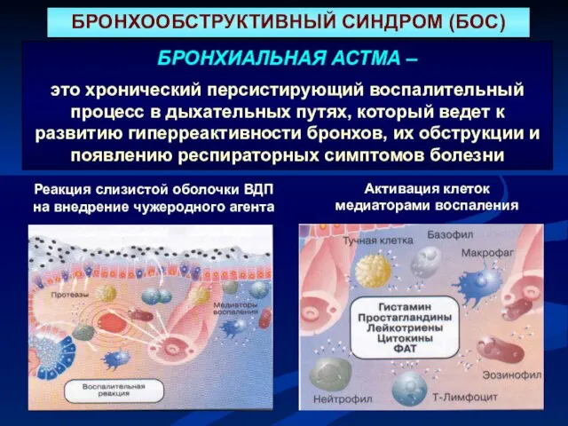 БРОНХИАЛЬНАЯ АСТМА – это хронический персистирующий воспалительный процесс в дыхательных