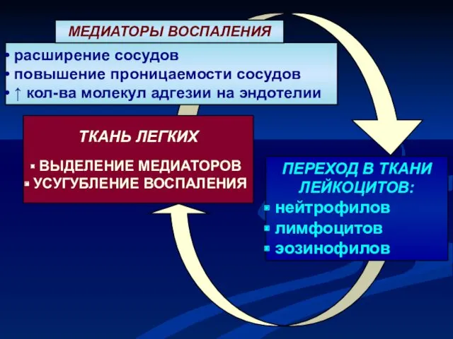 ТКАНЬ ЛЕГКИХ ВЫДЕЛЕНИЕ МЕДИАТОРОВ УСУГУБЛЕНИЕ ВОСПАЛЕНИЯ ПЕРЕХОД В ТКАНИ ЛЕЙКОЦИТОВ: нейтрофилов лимфоцитов эозинофилов