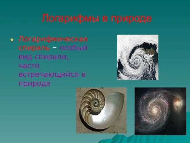 Логарифмическая спираль – особый вид спирали, часто встречающийся в природе Логарифмы в природе