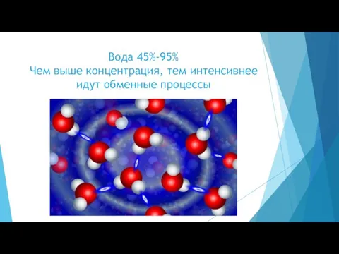 Вода 45%-95% Чем выше концентрация, тем интенсивнее идут обменные процессы