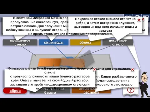 устройство микроскопа приготовление микропрепарата 1 предметное стекло 2 капля воды