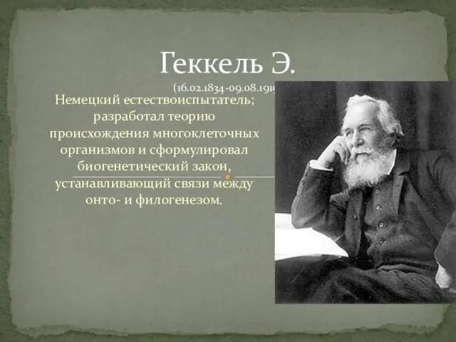 Немецкий естествоиспытатель; разработал теорию происхождения многоклеточных организмов и сформулировал биогенетический