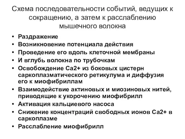 Схема последовательности событий, ведущих к сокращению, а затем к расслаблению