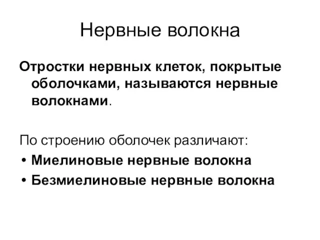 Нервные волокна Отростки нервных клеток, покрытые оболочками, называются нервные волокнами.