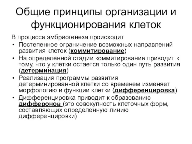 Общие принципы организации и функционирования клеток В процессе эмбриогенеза происходит