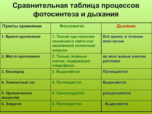 Сравнительная таблица процессов фотосинтеза и дыхания