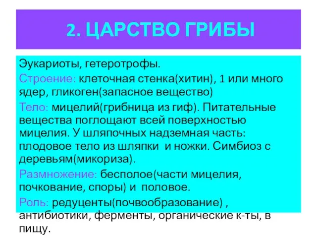 2. ЦАРСТВО ГРИБЫ Эукариоты, гетеротрофы. Строение: клеточная стенка(хитин), 1 или