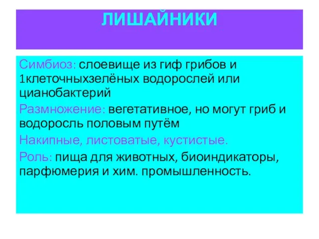 ЛИШАЙНИКИ Симбиоз: слоевище из гиф грибов и 1клеточныхзелёных водорослей или