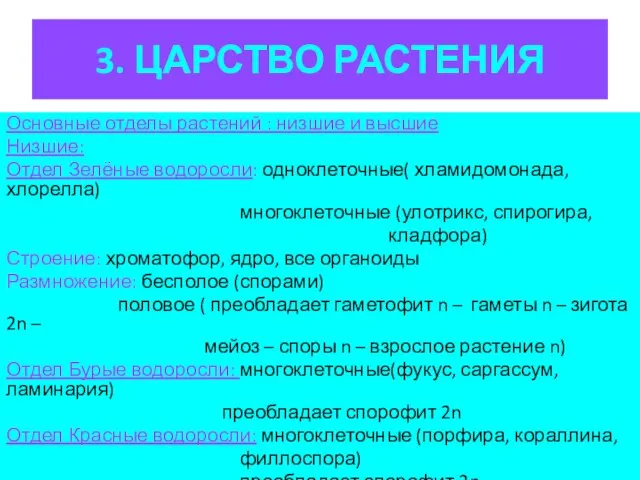 3. ЦАРСТВО РАСТЕНИЯ Основные отделы растений : низшие и высшие