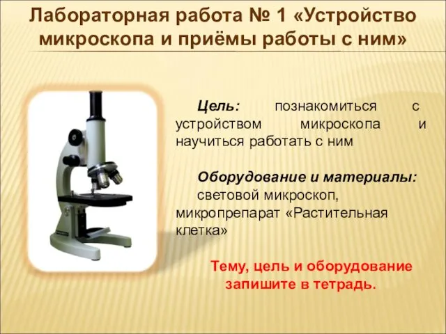 Цель: познакомиться с устройством микроскопа и научиться работать с ним Оборудование и материалы: