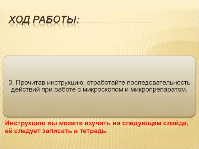 Инструкцию вы можете изучить на следующем слайде, её следует записать в тетрадь.