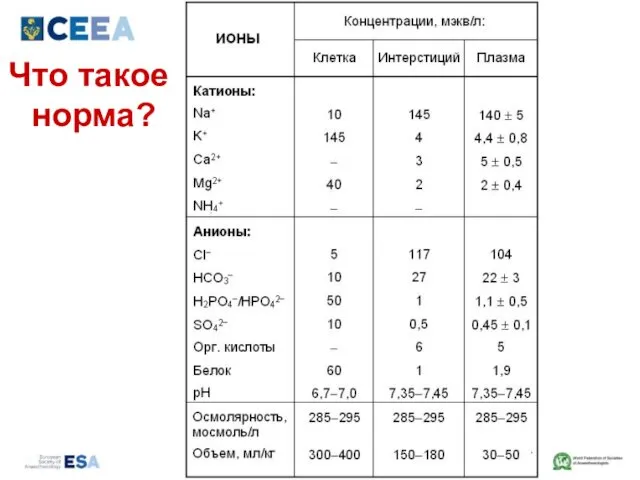 Что такое норма?