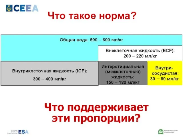 Что такое норма? Что поддерживает эти пропорции?