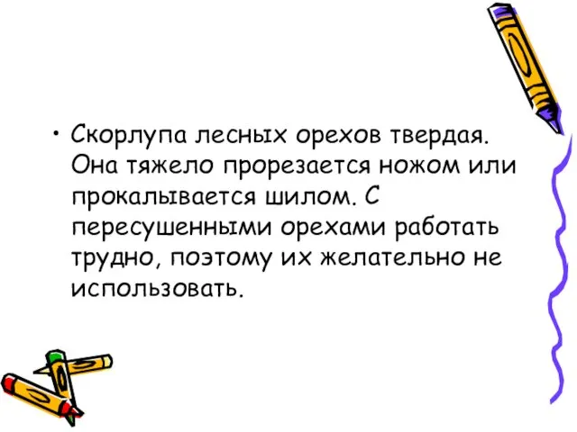 Скорлупа лесных орехов твердая. Она тяжело прорезается ножом или прокалывается