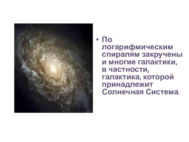 По логарифмическим спиралям закручены и многие галактики, в частности, галактика, которой принадлежит Солнечная Система.