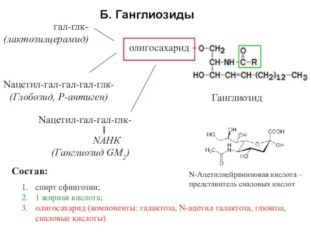 спирт сфингозин; 1 жирная кислота; олигосахарид (компоненты: галактоза, N-ацетил галактоза,