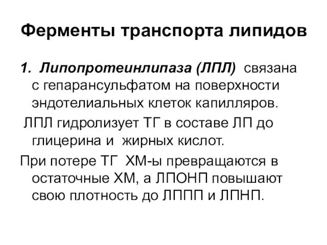 Ферменты транспорта липидов 1. Липопротеинлипаза (ЛПЛ) связана с гепарансульфатом на