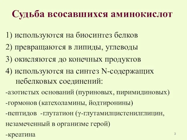 Судьба всосавшихся аминокислот 1) используются на биосинтез белков 2) превращаются