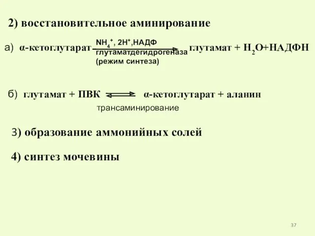 2) восстановительное аминирование 3) образование аммонийных солей 4) синтез мочевины