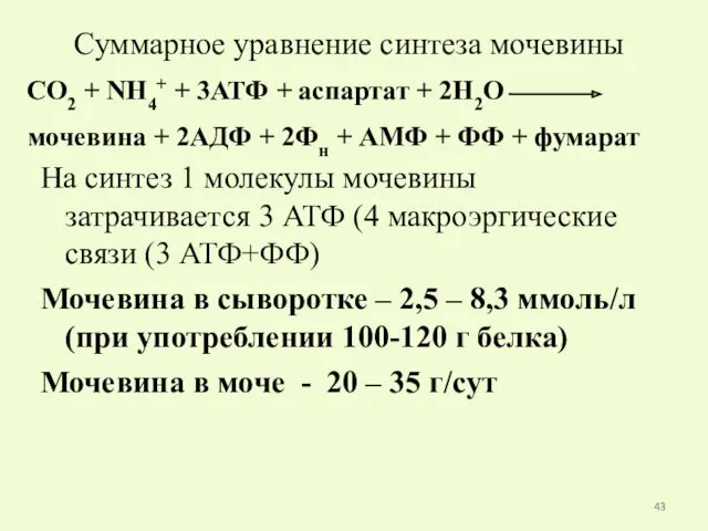 Суммарное уравнение синтеза мочевины На синтез 1 молекулы мочевины затрачивается