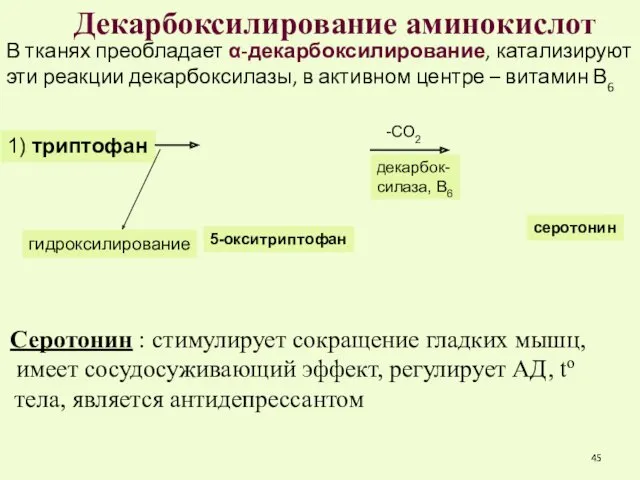 Декарбоксилирование аминокислот В тканях преобладает α-декарбоксилирование, катализируют эти реакции декарбоксилазы,