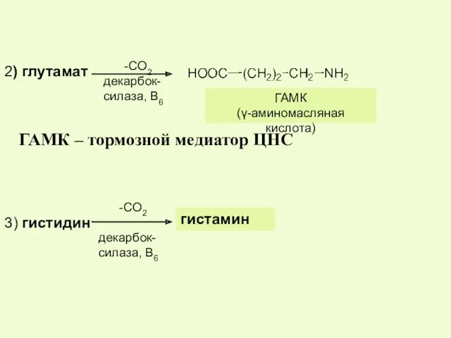 -СО2 декарбок- силаза, В6 ГАМК (γ-аминомасляная кислота)‏ ГАМК – тормозной